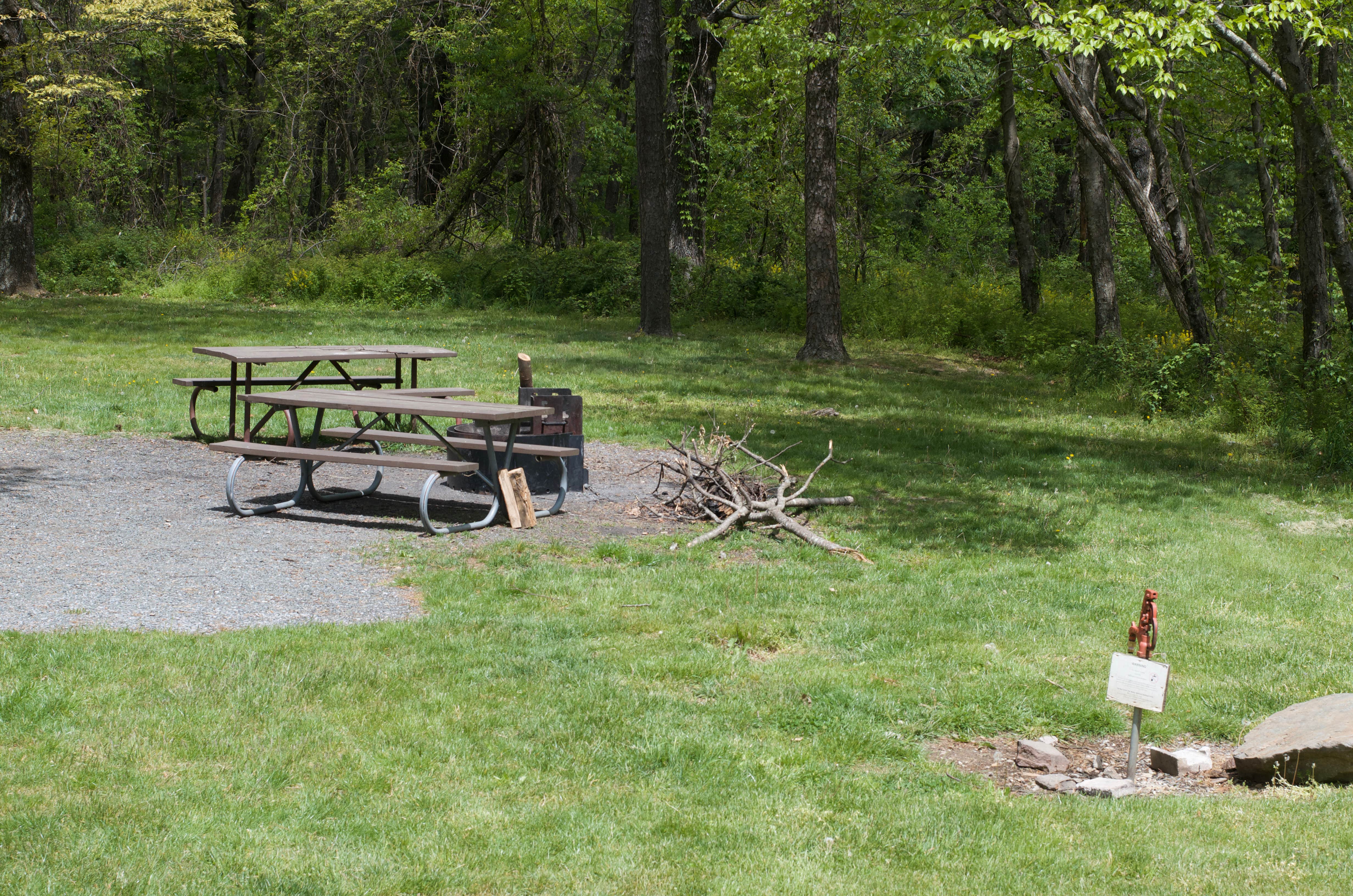 Camper submitted image from Dundo Group Campground — Shenandoah National Park - 1