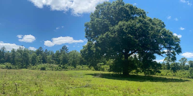 Camper submitted image from Southern Home Grown’s Good Vibes Village