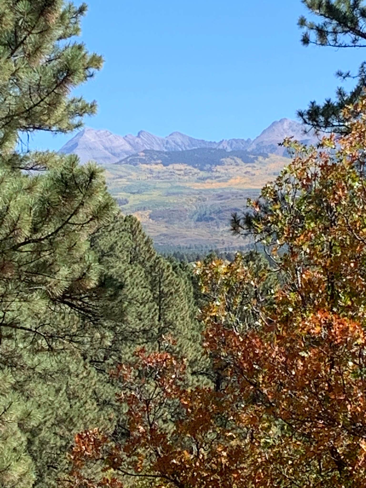 Camper-submitted photo at Mancos State Park Campground near Kirtland, NM