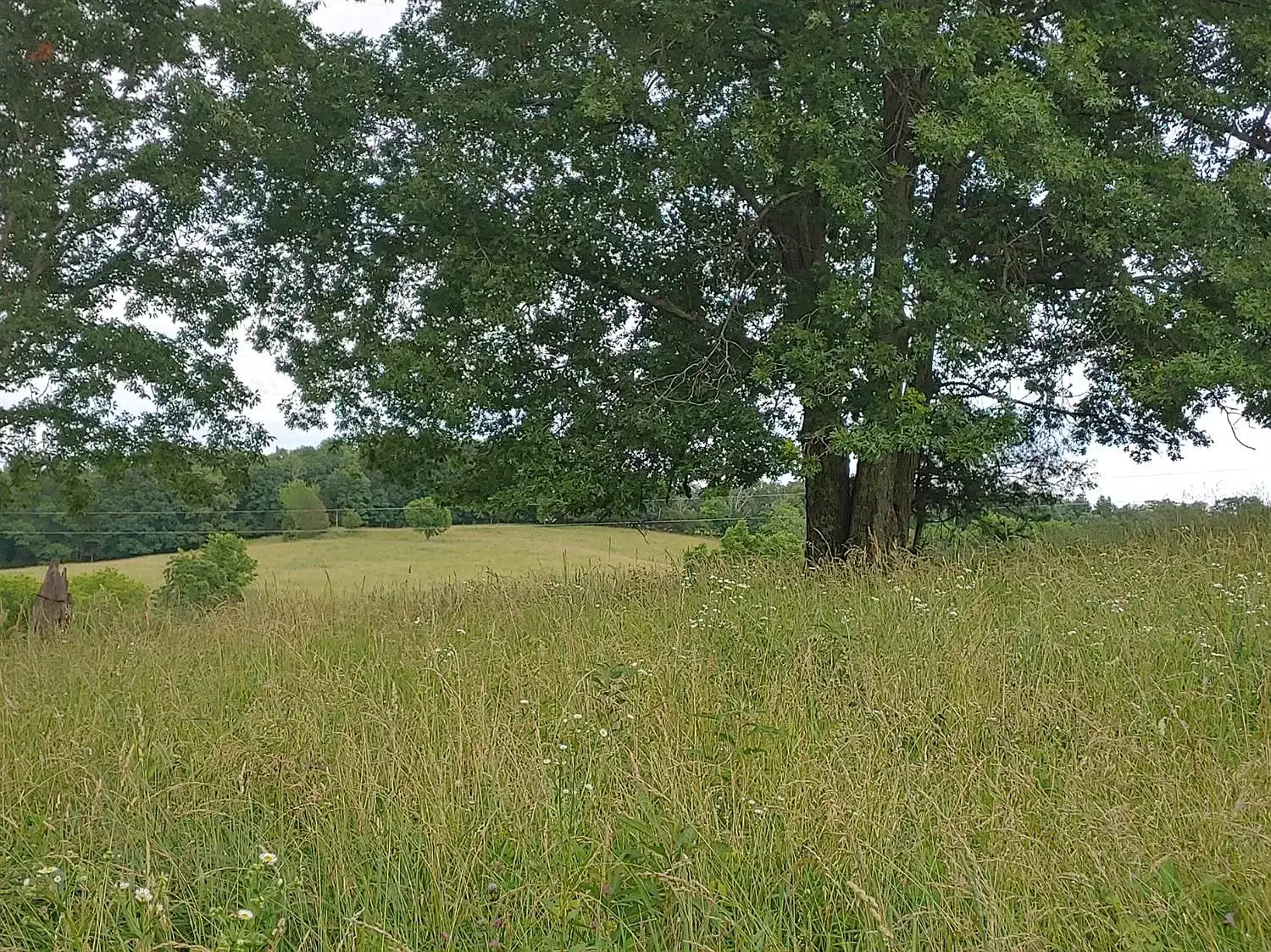 Camper-submitted photo at Tree Line Retreat near Lawrenceburg, IN
