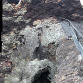 Review photo of Lava Flow - Craters of the Moon National Monument by Kelly H., May 18, 2021