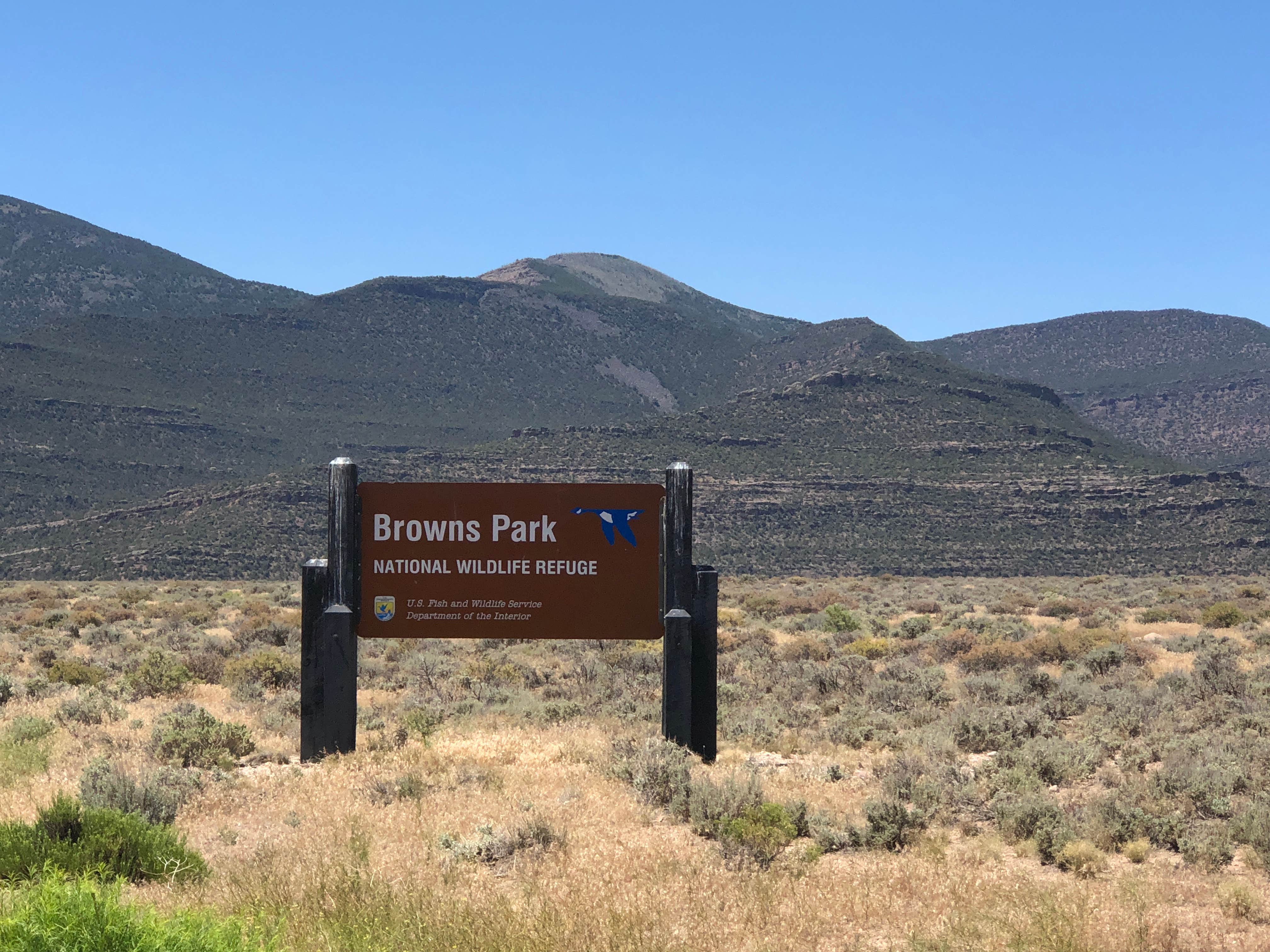 Camper submitted image from Crook Campground - FWS - Browns Park NWR - 1