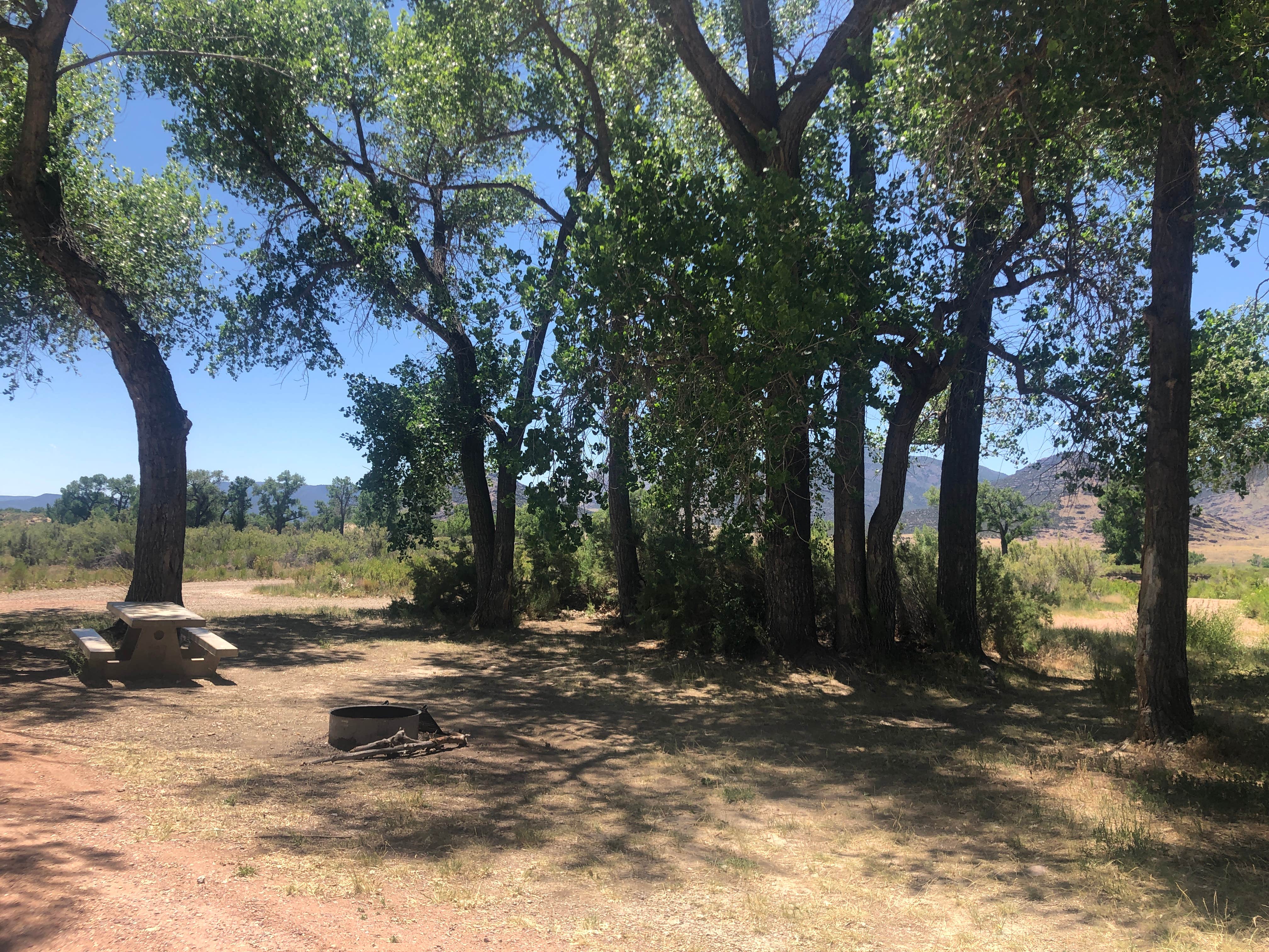 Camper submitted image from Crook Campground - FWS - Browns Park NWR - 3