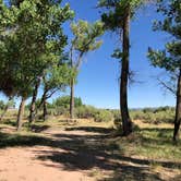 Review photo of Crook Campground - FWS - Browns Park NWR by Hayley K., May 18, 2021