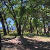 Review photo of Crook Campground - FWS - Browns Park NWR by Hayley K., May 18, 2021