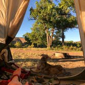 Review photo of Crook Campground - FWS - Browns Park NWR by Hayley K., May 18, 2021