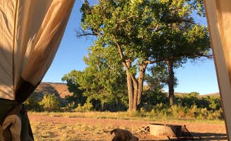Hayley K.'s photo of camping with pets at Crook Campground - FWS - Browns Park NWR near Dinosaur National Monument