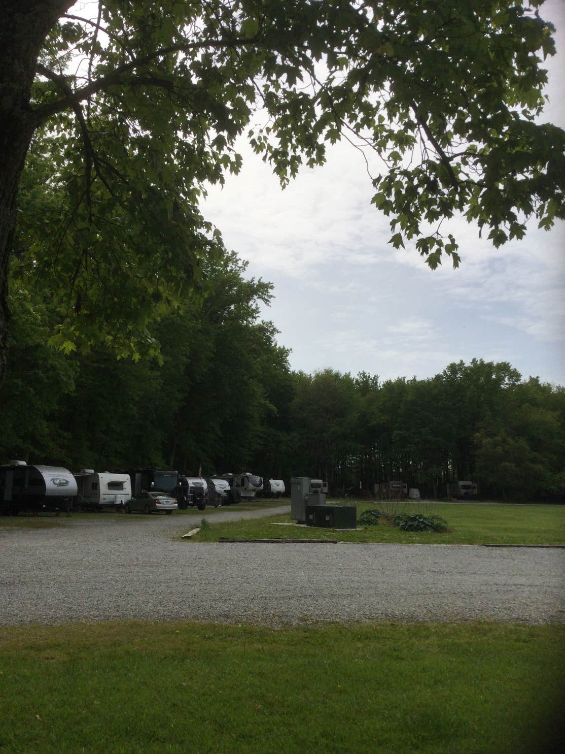 Olive Branch Campground The Dyrt