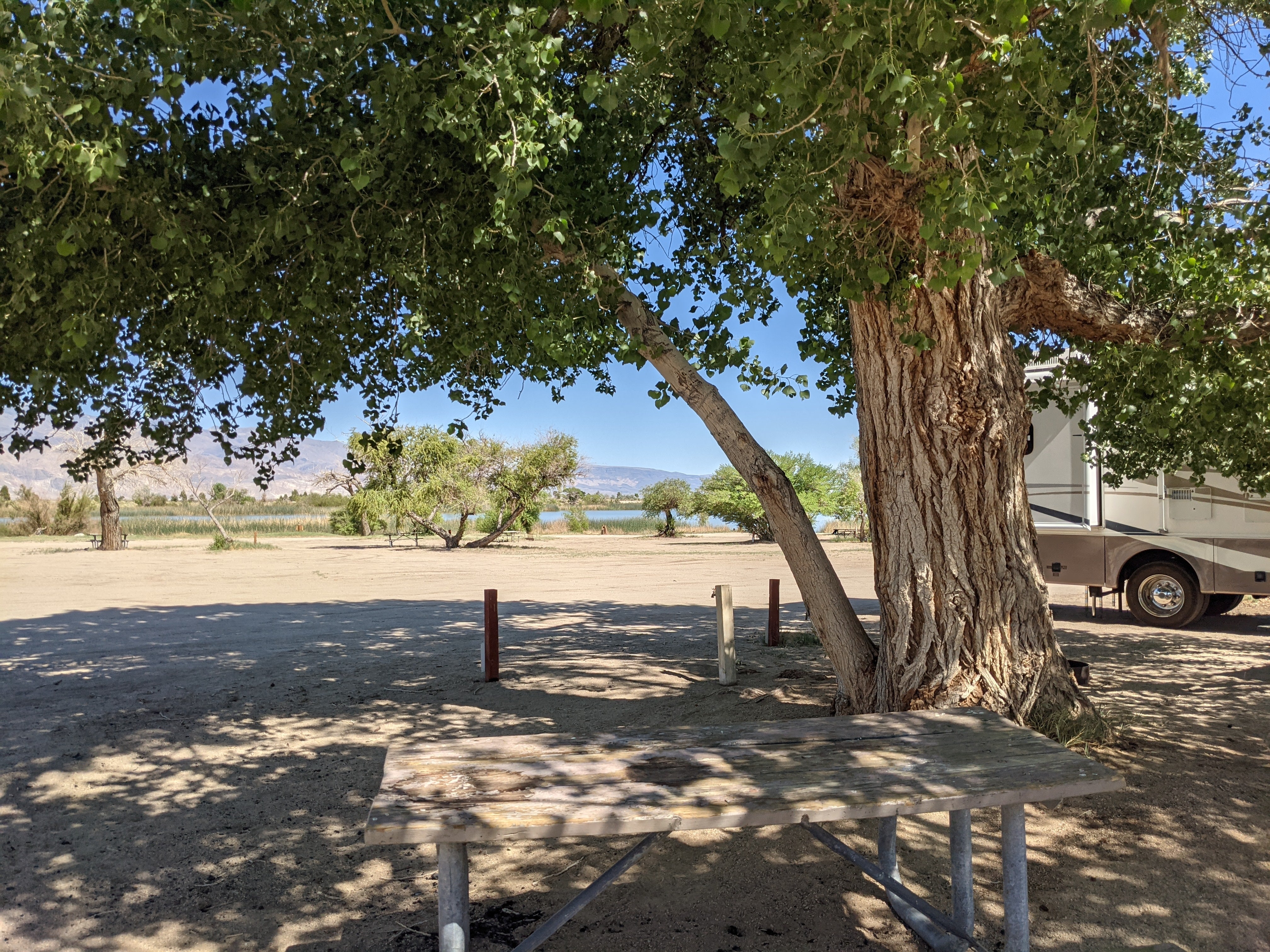 Camper submitted image from Inyo County Diaz Lake Campground - 1