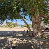 Review photo of Inyo County Diaz Lake Campground by Sandy M., May 18, 2021
