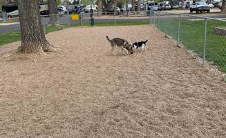 Kimberly D.'s photo of camping with pets at Loveland RV Resort near Longmont, CO