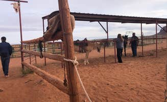 Nita D.'s photo of camping with a horse at Monument Valley KOA in Utah