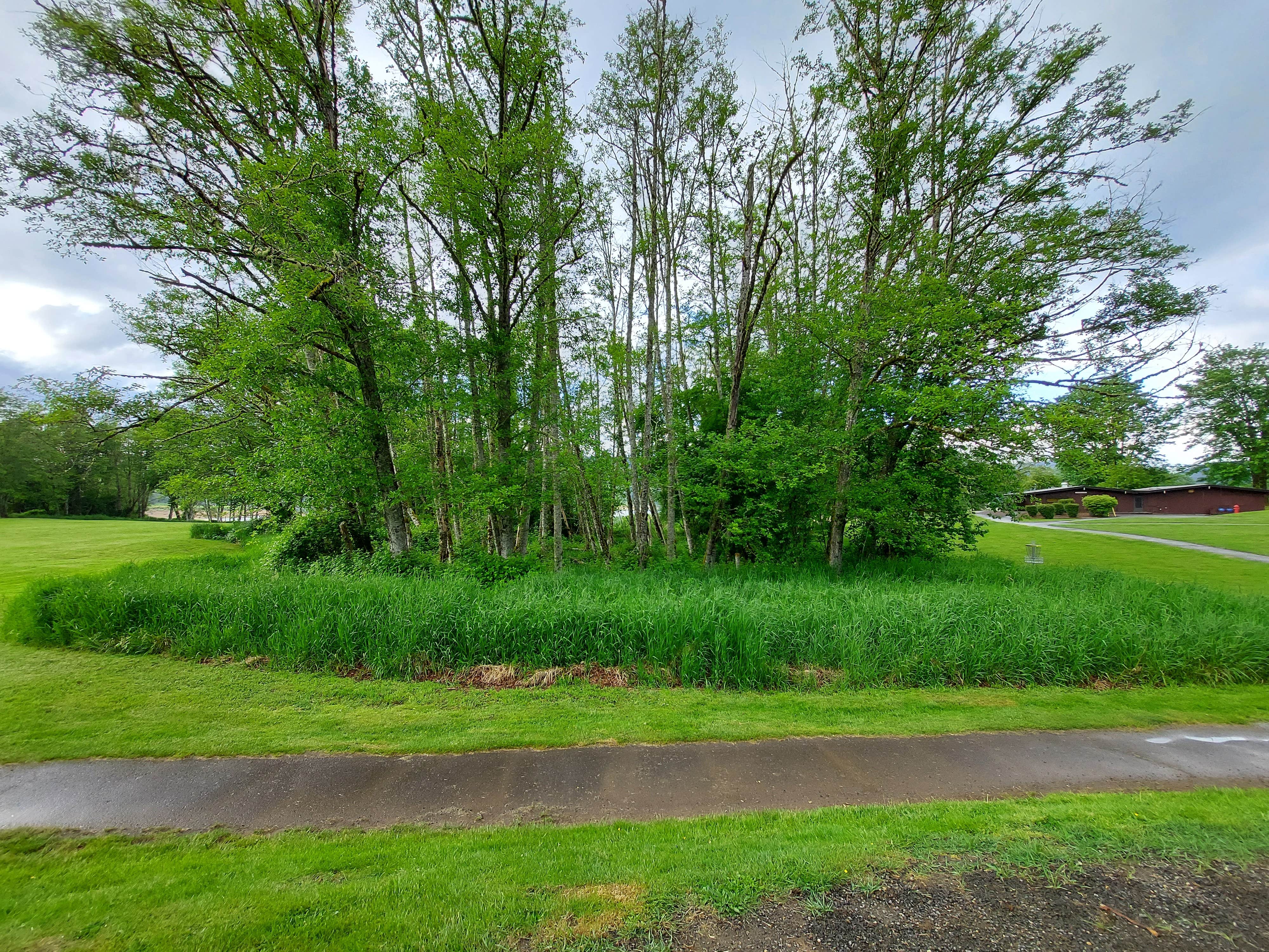 Mossyrock Park The Dyrt