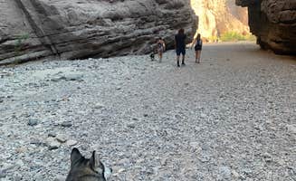 Name's photo of camping with pets at Painted Canyon near Joshua Tree National Park