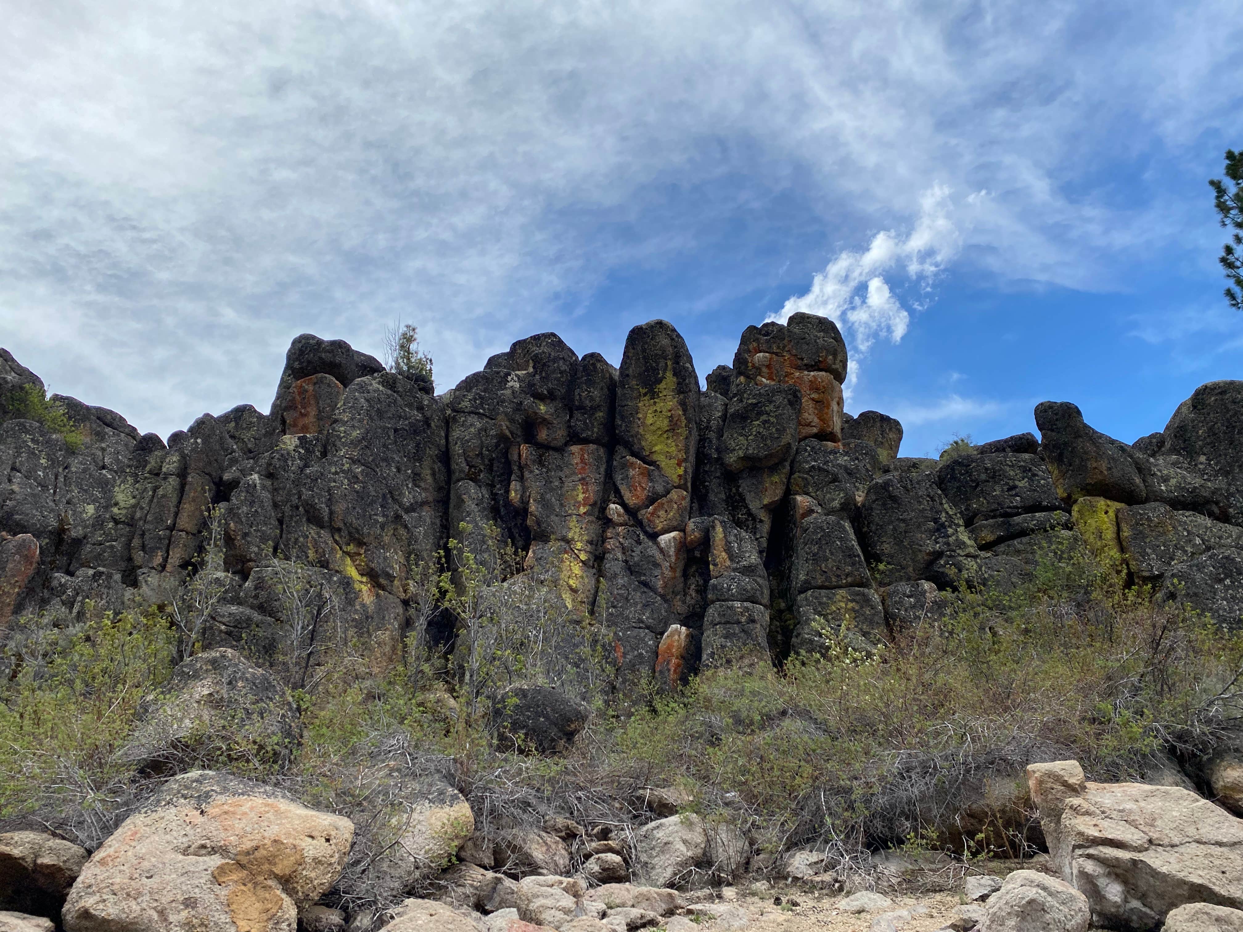 Camper-submitted photo at Plumas National Forest Spring Creek Campground near Chilcoot, CA