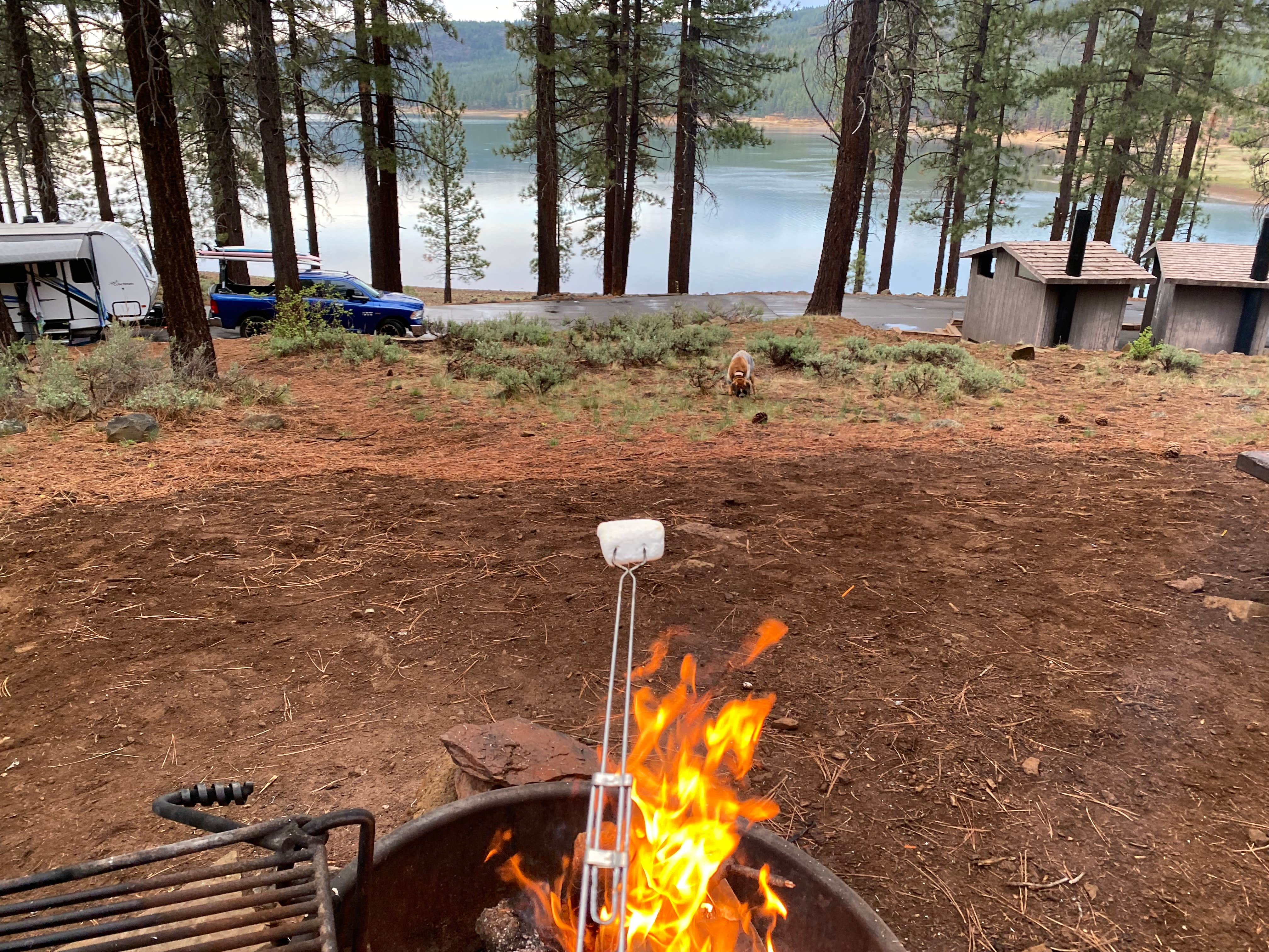 Ron G.'s photo at Plumas National Forest Spring Creek Campground near Portola, CA
