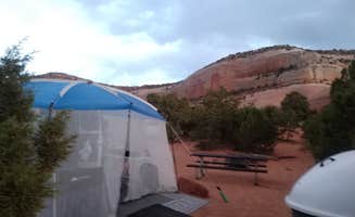 Gail W.'s photo at Windwhistle Campground near La Sal, UT