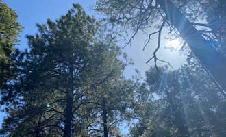 Camping near Woody Mountain: Fort tuthill county campground, Flagstaff, Arizona