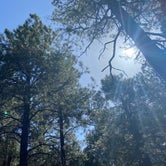 Review photo of Fort tuthill county campground by Don M., May 19, 2021