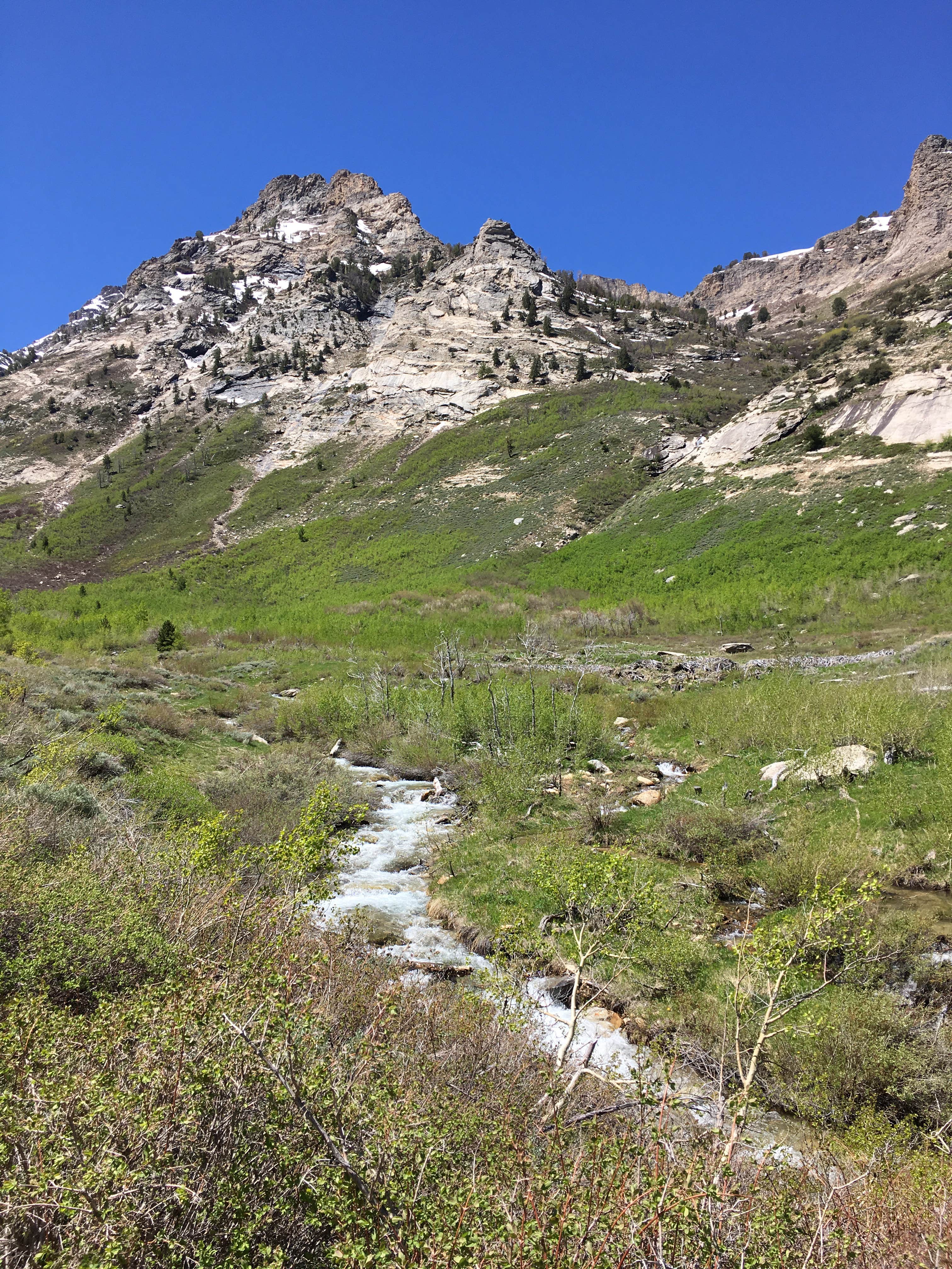 Camper submitted image from Humboldt National Forest Thomas Canyon Campground - 2