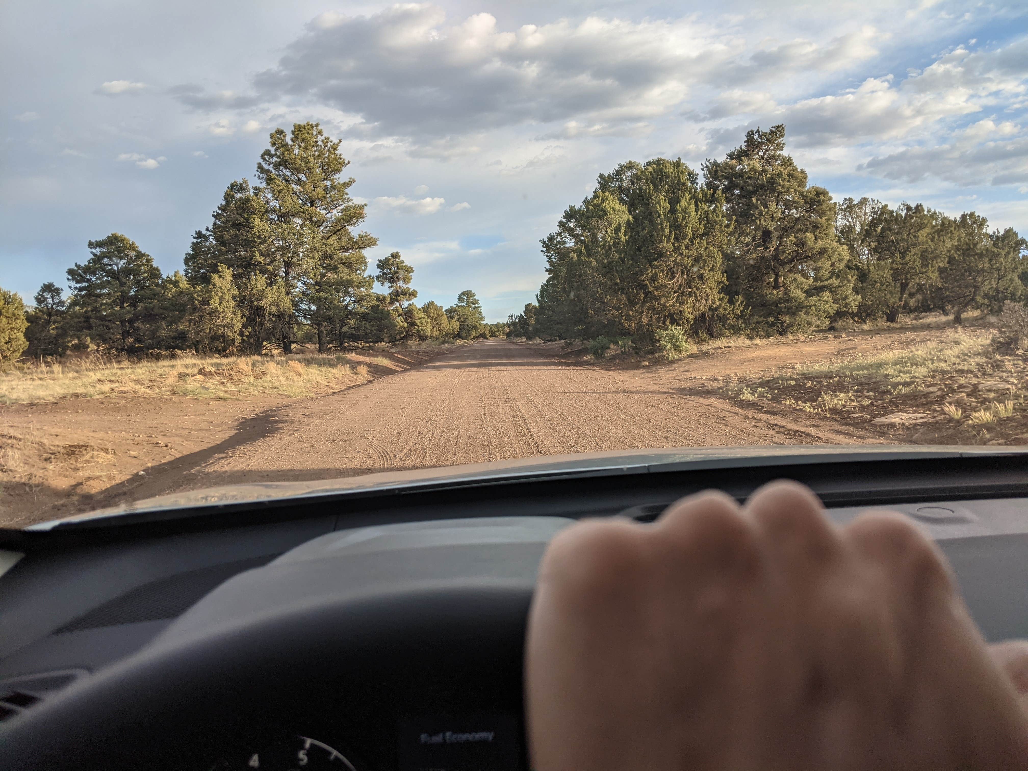 Camper submitted image from Walnut Canyon Rd Dispersed Camping - CLOSED UNTIL 2025 - 5