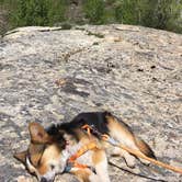 Review photo of Humboldt National Forest Thomas Canyon Campground by Ashleigh O., June 4, 2018