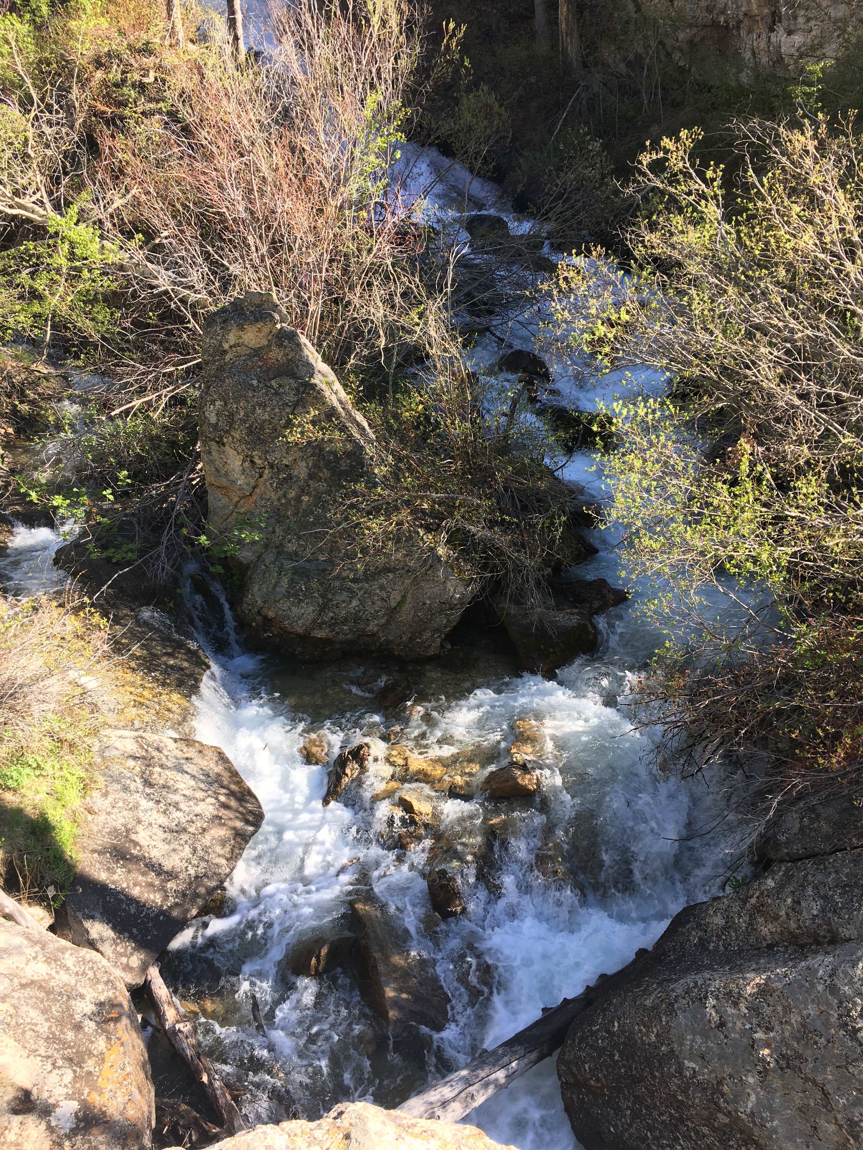 Camper submitted image from Humboldt National Forest Thomas Canyon Campground - 3