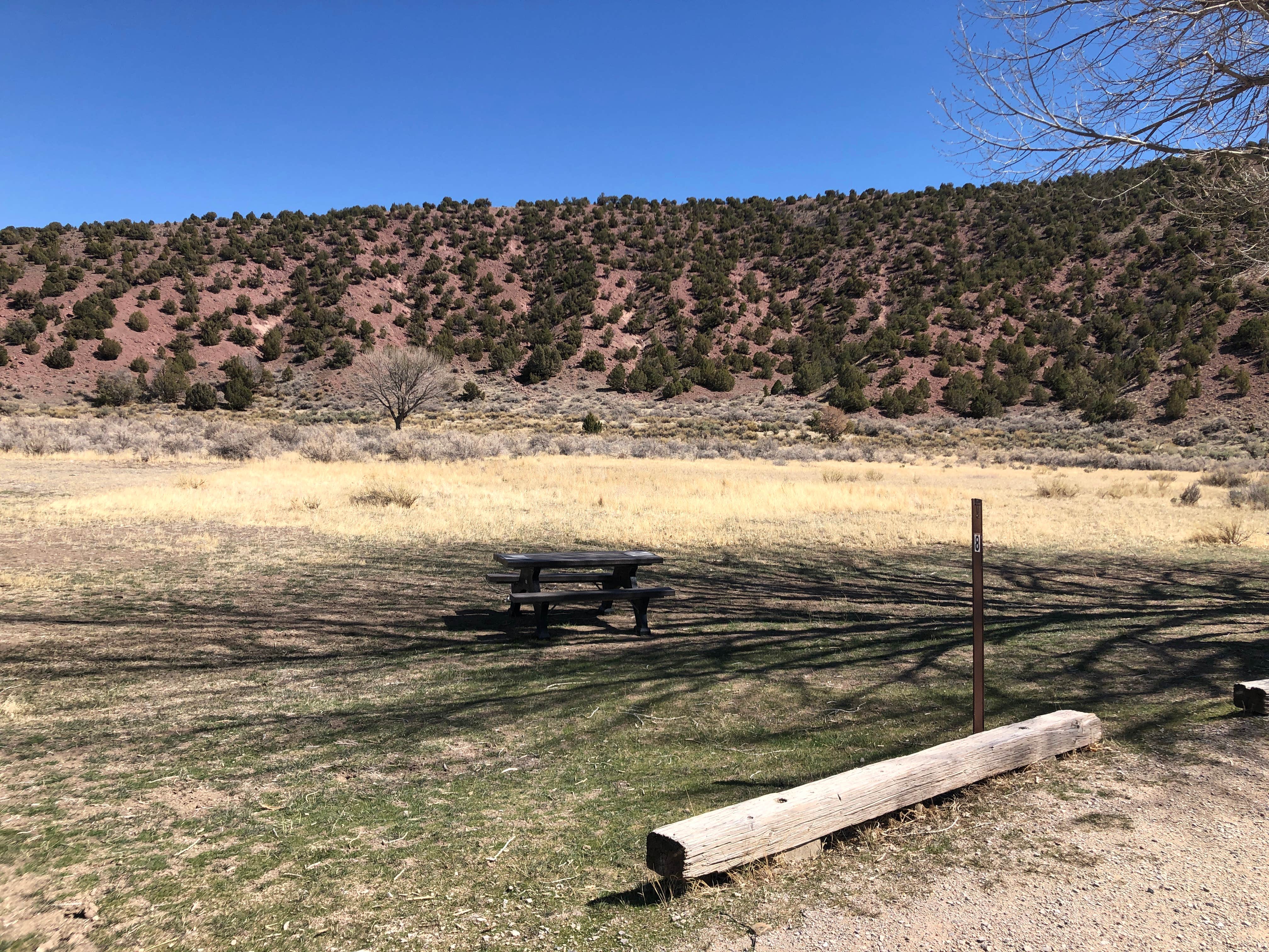 Camper submitted image from Gates Of Lodore Campground — Dinosaur National Monument - 5