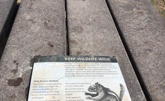 Hayley K.'s photo of camping with pets at Gates Of Lodore Campground — Dinosaur National Monument near Dinosaur National Monument