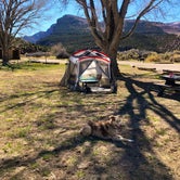 Review photo of Gates of Lodore Campground — Dinosaur National Monument by Hayley K., May 19, 2021