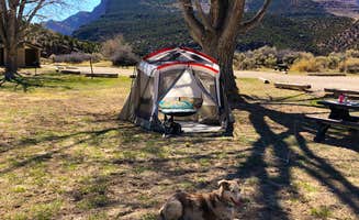 Hayley K.'s photo of camping with pets at Gates Of Lodore Campground — Dinosaur National Monument near Dinosaur National Monument