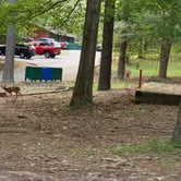 Review photo of Lake Catherine State Park Campground by Virginia C., May 19, 2021