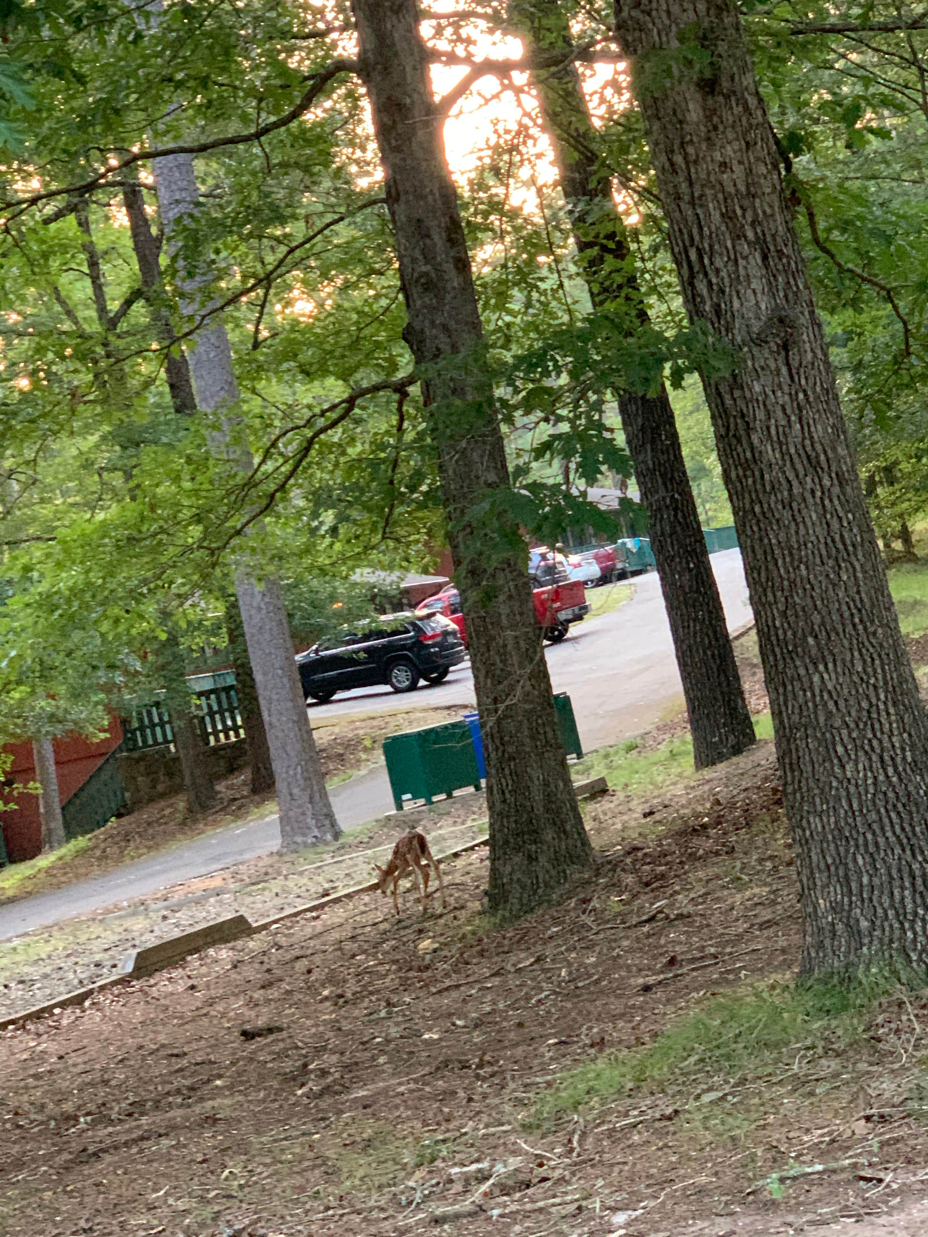 Lake Catherine The Dyrt