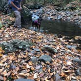 Review photo of Mathews Arm Campground — Shenandoah National Park by Flannel Fabe .., March 26, 2021