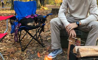 Fabein D.'s photo at Mathews Arm Campground — Shenandoah National Park near Etlan, VA