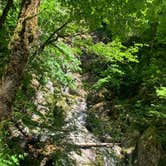 Review photo of Beacon Rock State Park Group Campground — Beacon Rock State Park by Gavin H., May 19, 2021