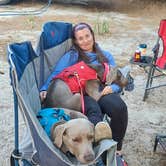 Review photo of Cape Henlopen State Park Campground by John K., May 19, 2021