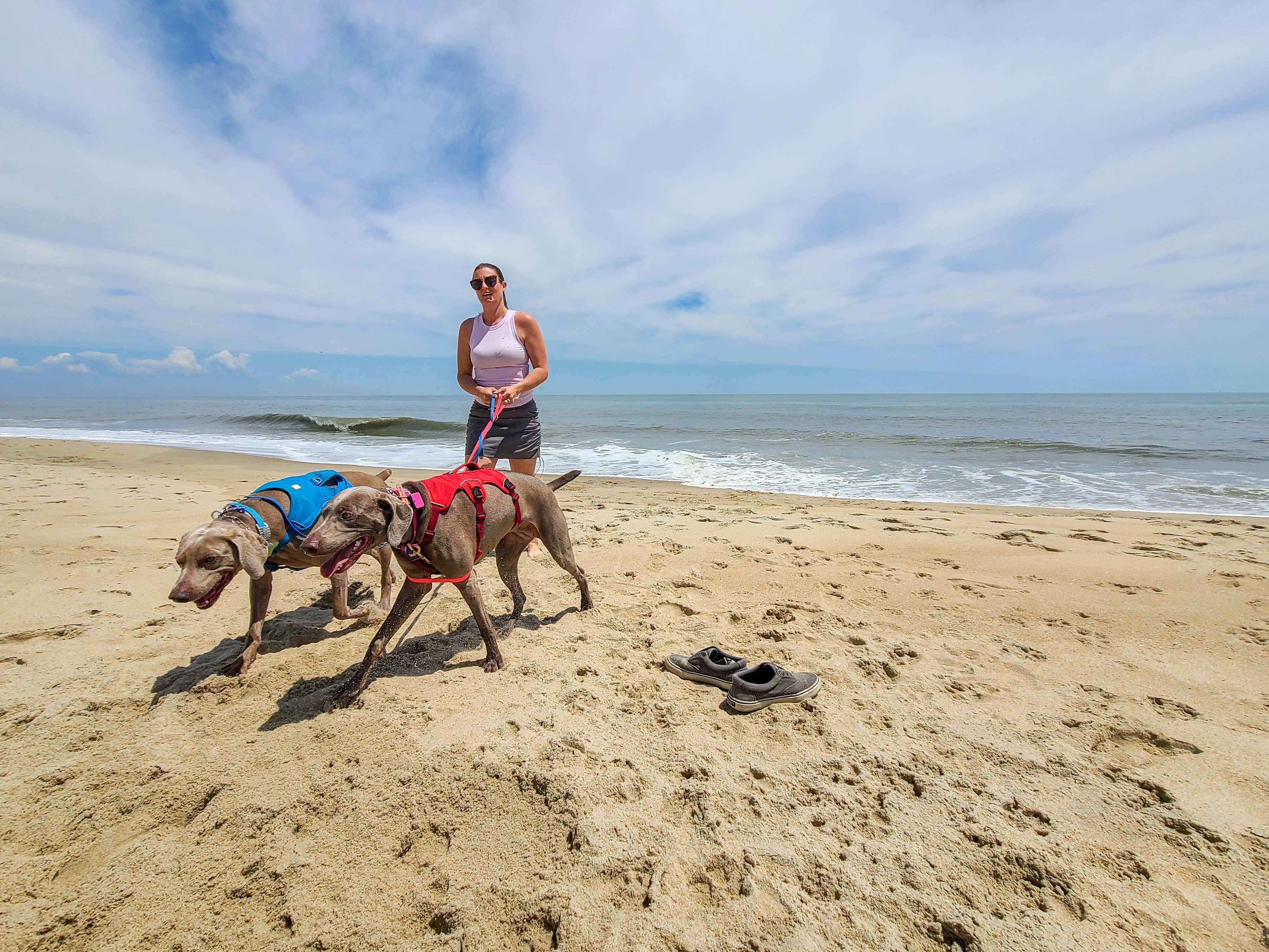 John K.'s photo of camping with pets at Cape Henlopen State Park Campground near Millsboro, DE