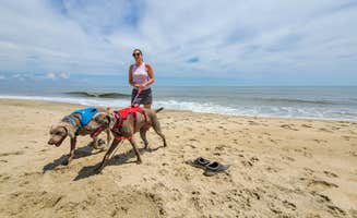 John K.'s photo of camping with pets at Cape Henlopen State Park Campground near Leesburg, NJ