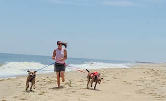 John K.'s photo of camping with pets at Cape Henlopen State Park Campground near Rehoboth Beach, DE