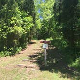 Review photo of Hoosier National Forest South Slope Loop Campground by Shelly S., June 4, 2018