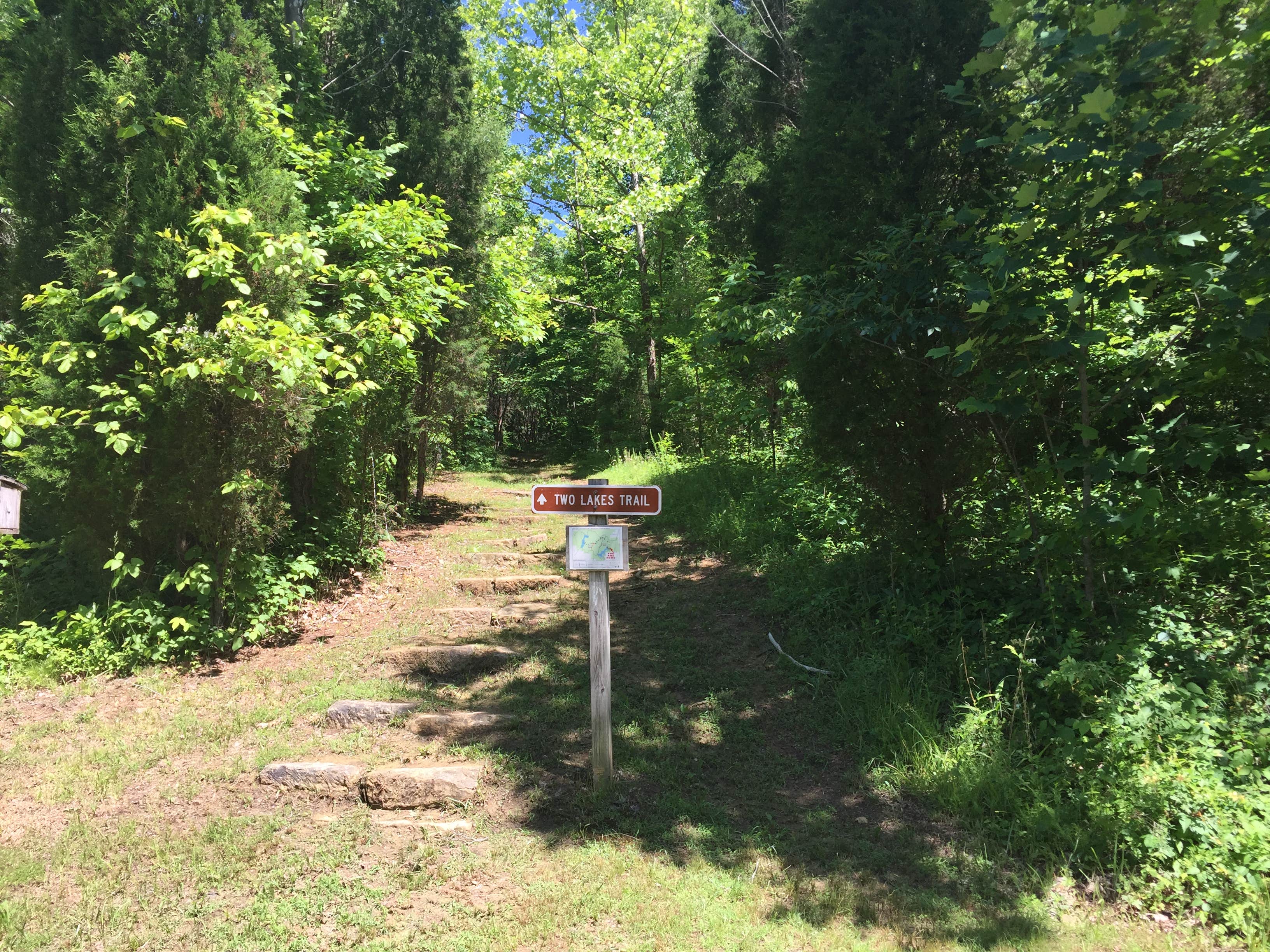 Camper submitted image from Hoosier National Forest South Slope Loop Campground - 2