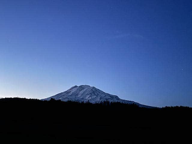 View All