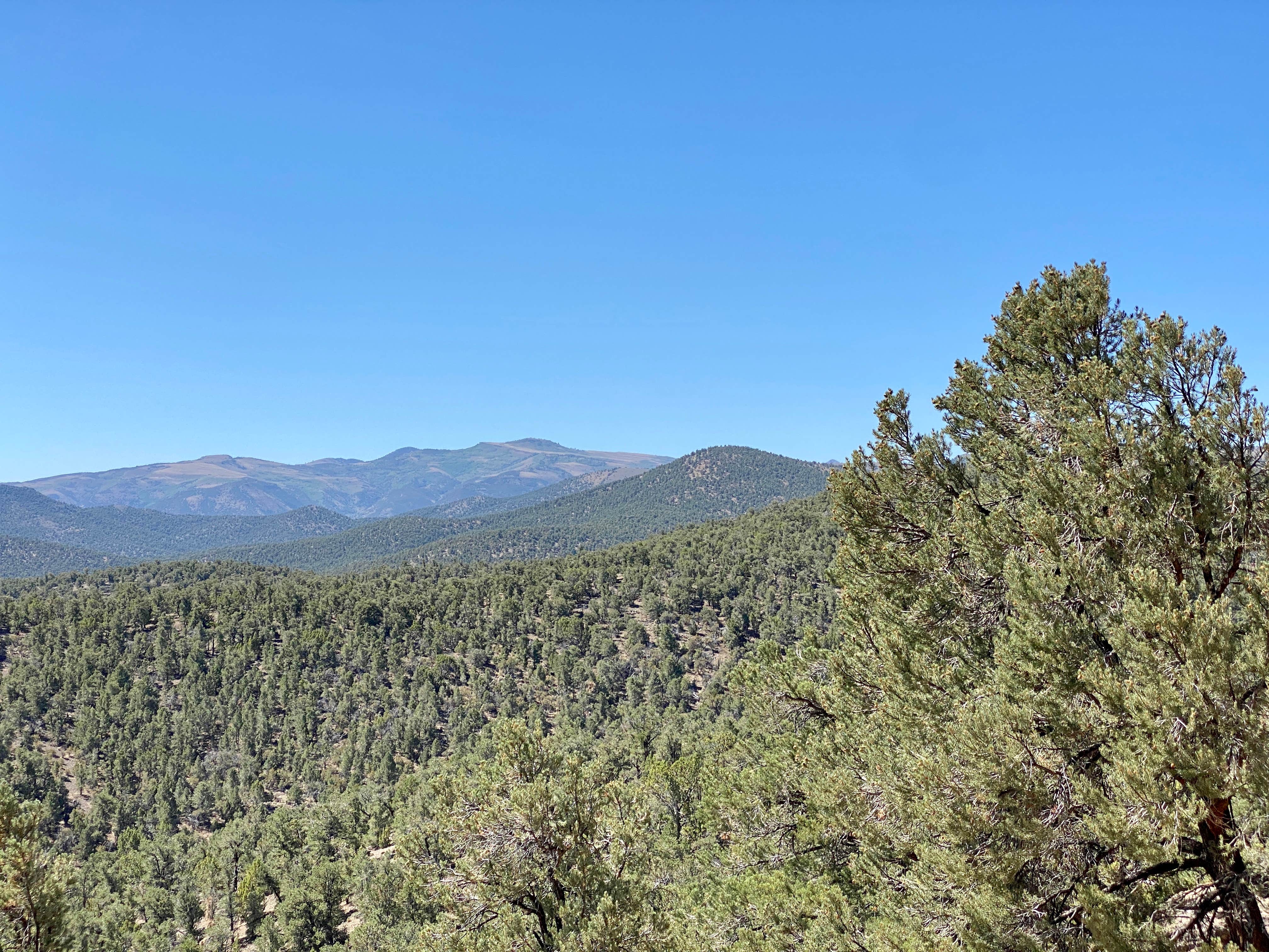 Camper submitted image from Toiyabe National Forest Toquima Cave Campground - 1