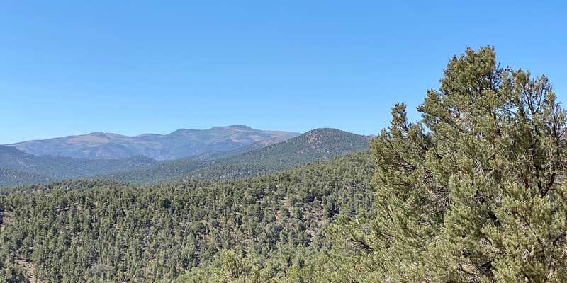 Camper submitted image from Toiyabe National Forest Toquima Cave Campground
