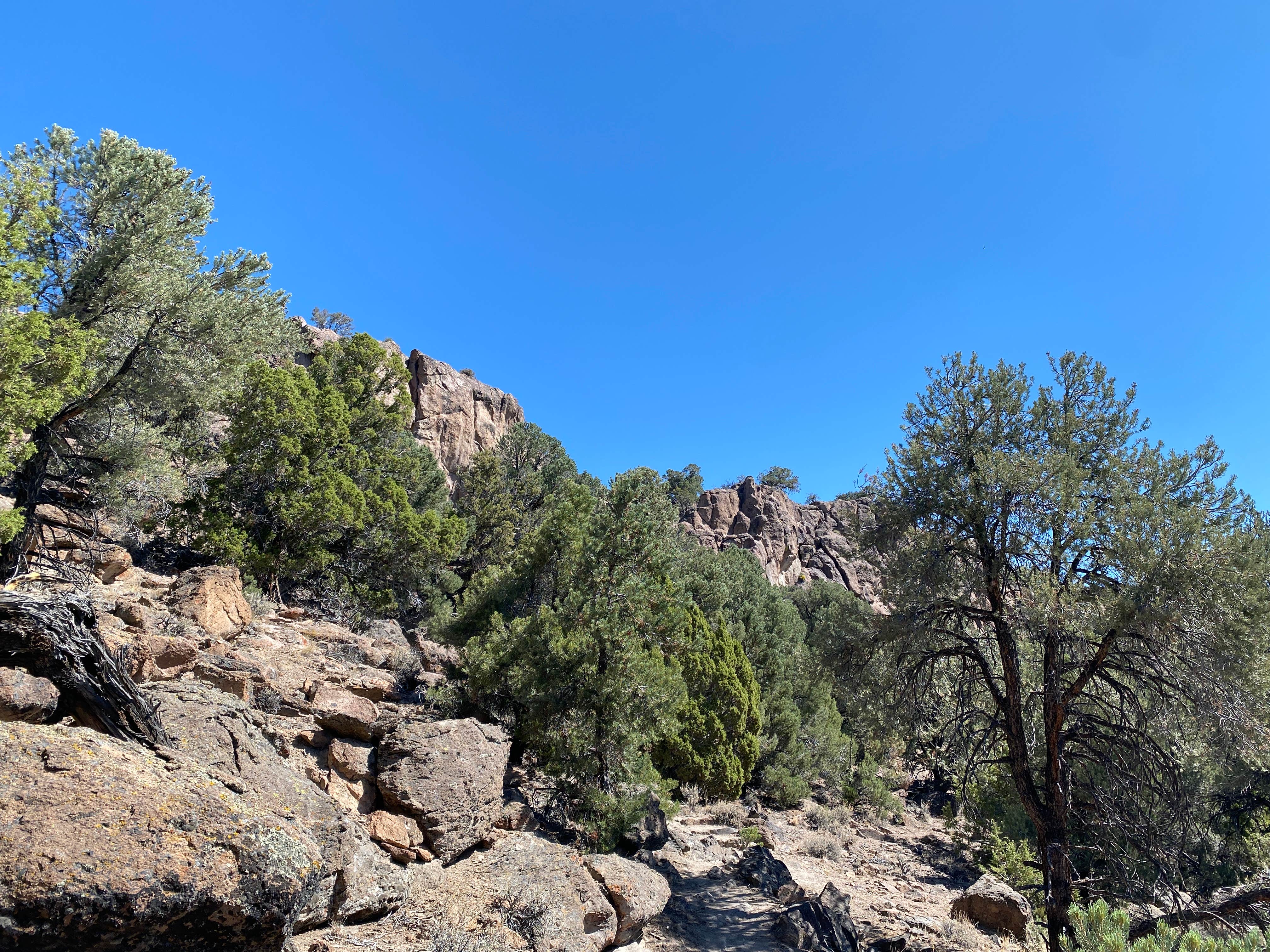 Camper submitted image from Toiyabe National Forest Toquima Cave Campground - 2