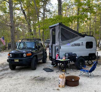 Camper-submitted photo from Thousand Trails Chestnut Lake