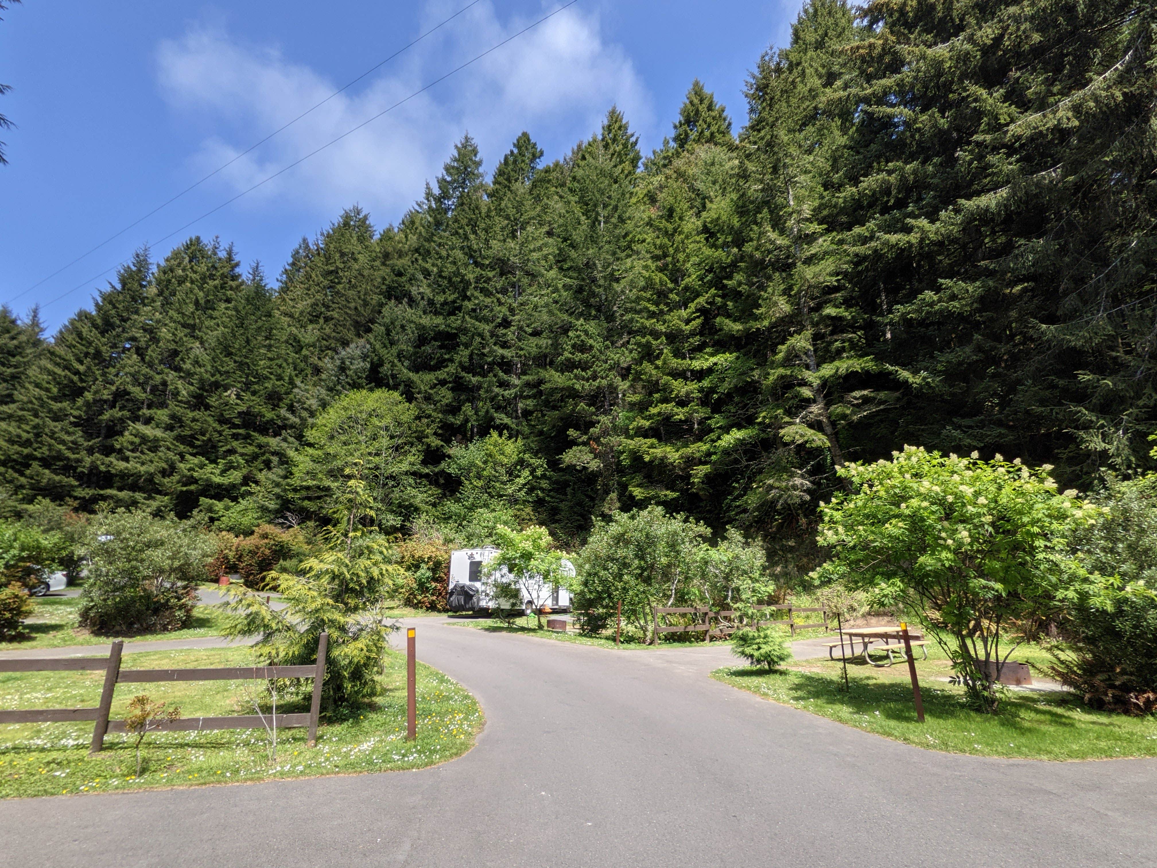 Umpqua Lighthouse State Park | The Dyrt