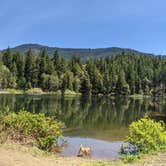 Review photo of Burma Pond BLM by Laura M., May 19, 2021