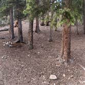 Review photo of Handcart Campground by matt , May 20, 2021